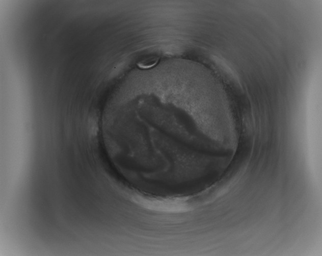 X0000110870032200906251237