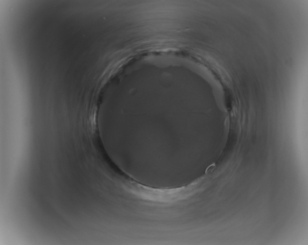 X0000110870035200906251237