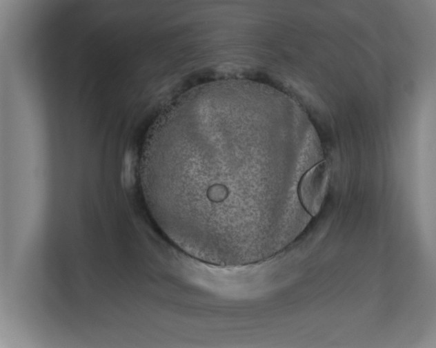 X0000110870038200906251237