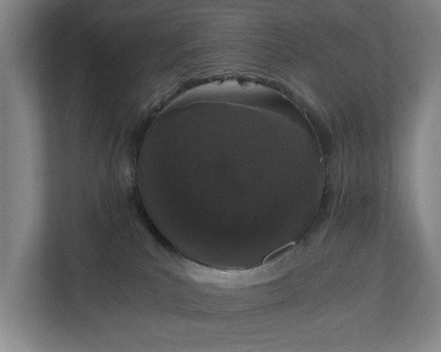 X0000110870039200906251237