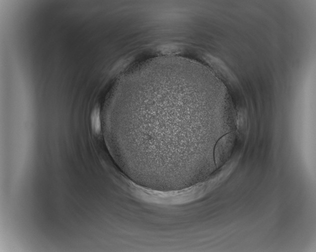 X0000110870046200906251237