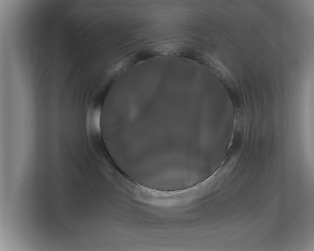 X0000110870047200906251237