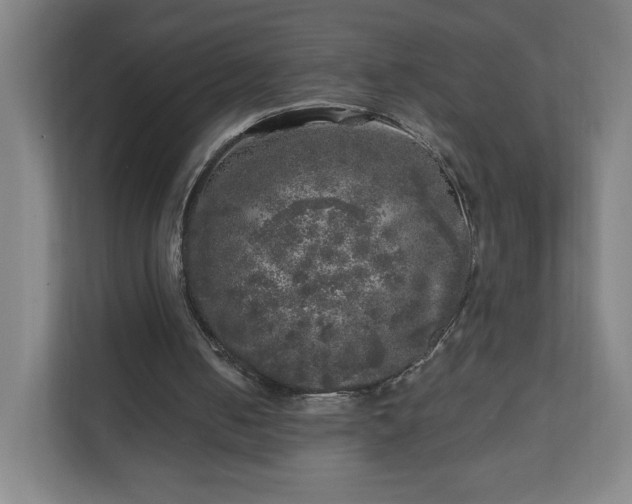 X0000110870050200906251237