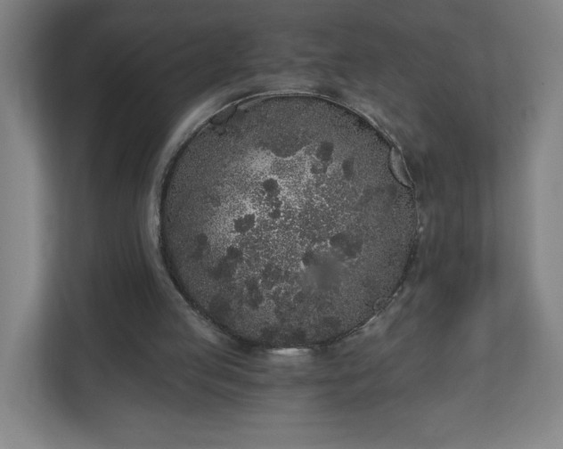 X0000110870053200906251237