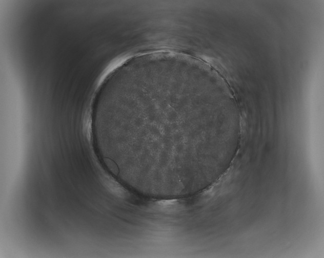 X0000110870054200906251237