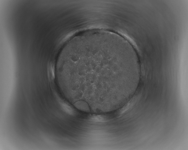 X0000110870062200906251237