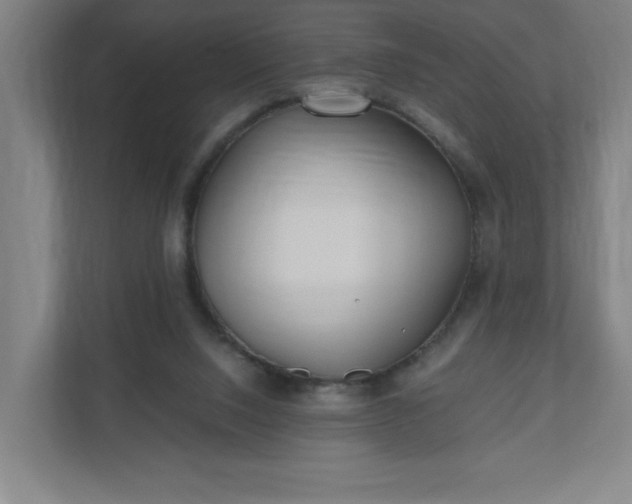 X0000110870064200906251237