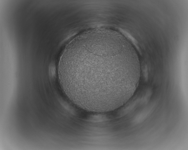 X0000110870067200906251237