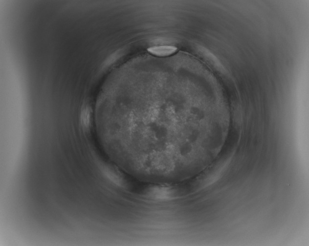 X0000110870071200906251237