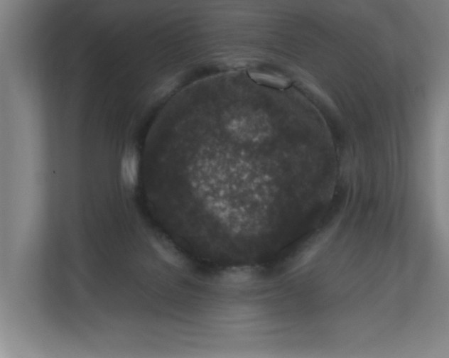 X0000110870076200906251237