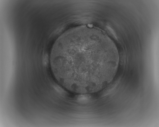 X0000110870077200906251237