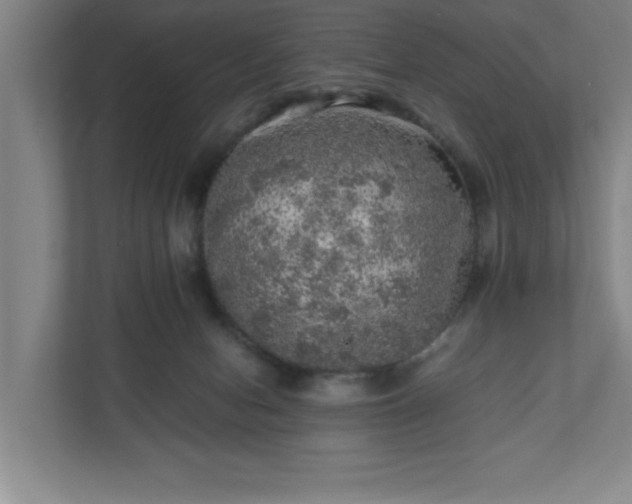 X0000110870078200906251237