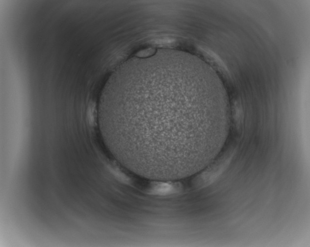 X0000110870083200906251237