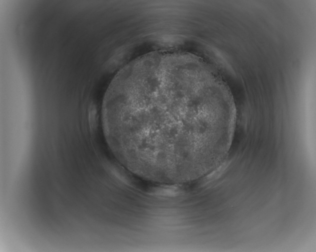 X0000110870086200906251237