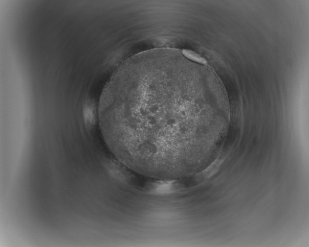 X0000110870090200906251237