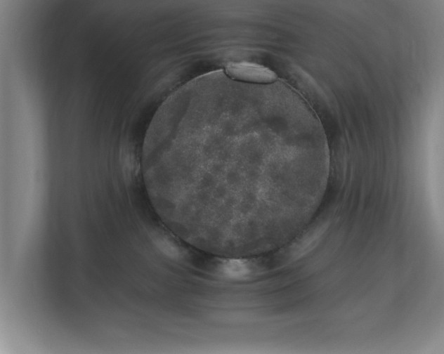 X0000110870091200906251237