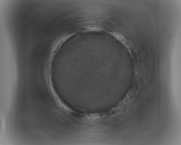 X0000110870097200906251237