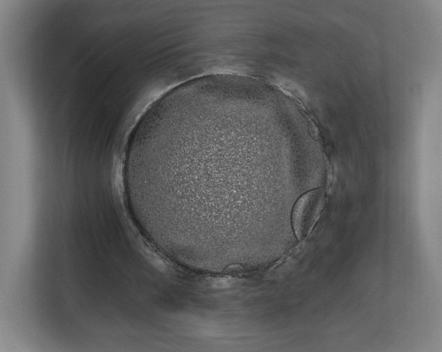 X0000110870098200906251237