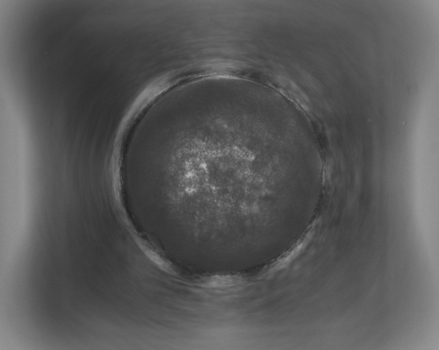 X0000110870101200906251237