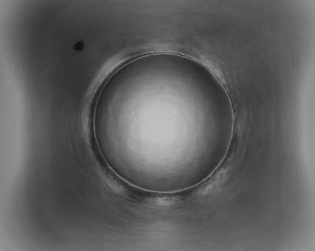 X0000110870103200906251236