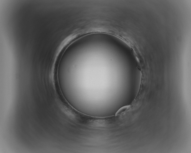 X0000110870104200906251236