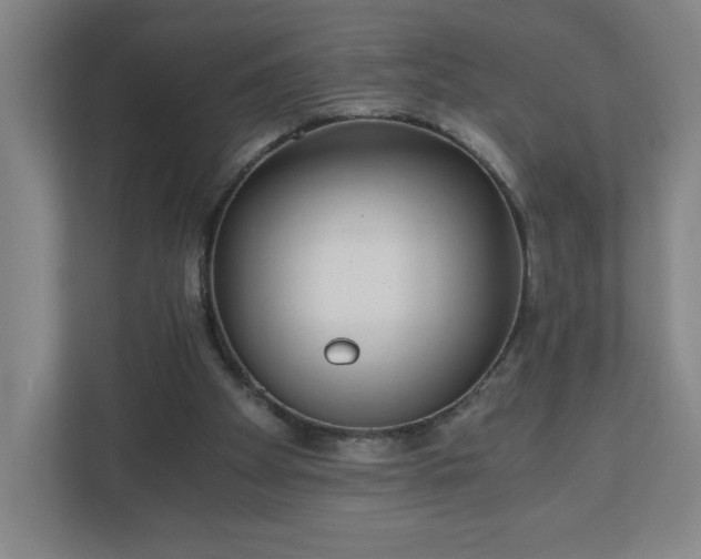 X0000110870105200906251236