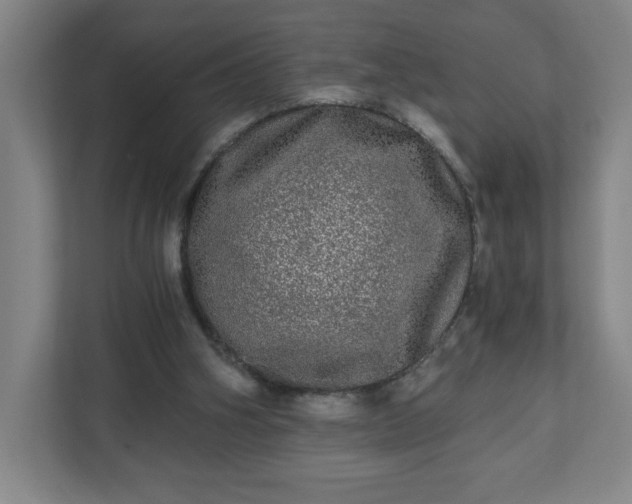 X0000110870106200906251236