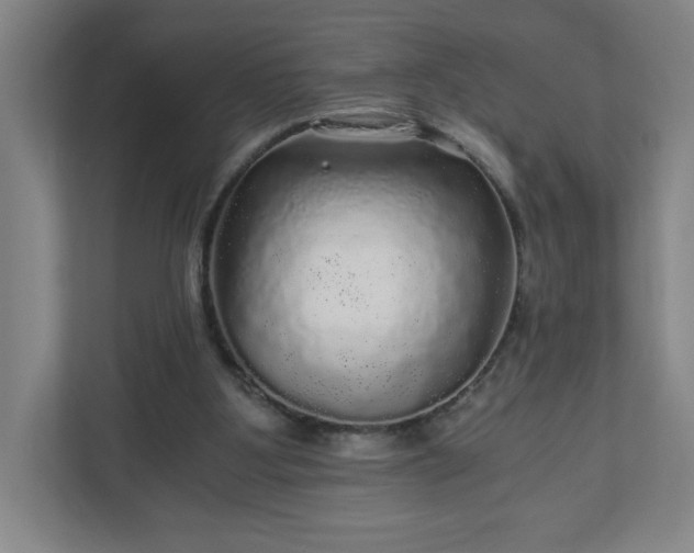 X0000110870107200906251236