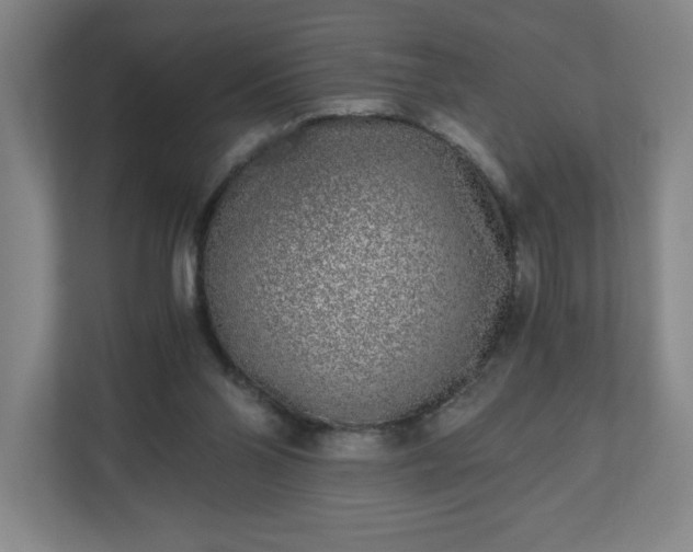 X0000110870110200906251236