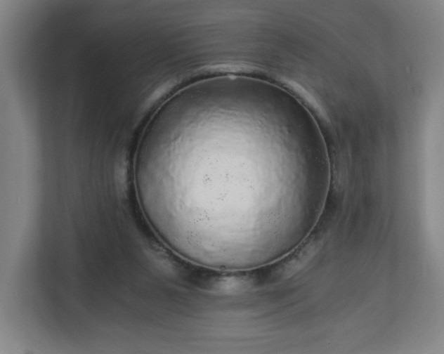 X0000110870111200906251236