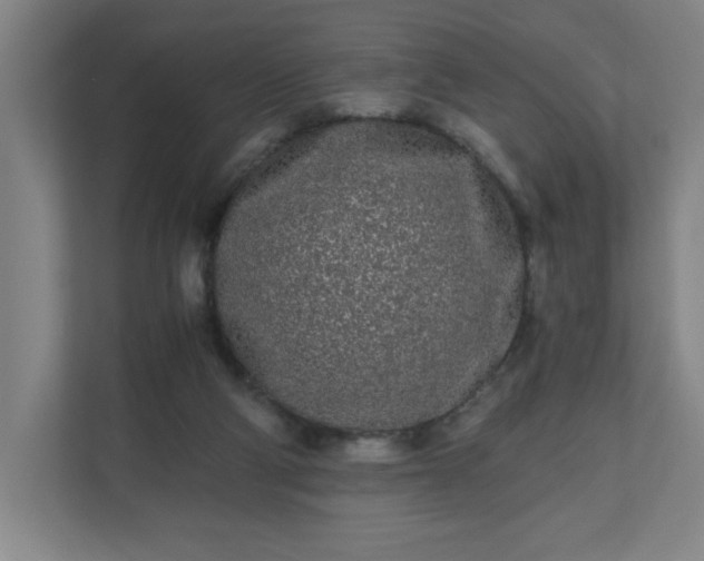 X0000110870114200906251236