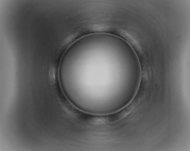 X0000110870115200906251236