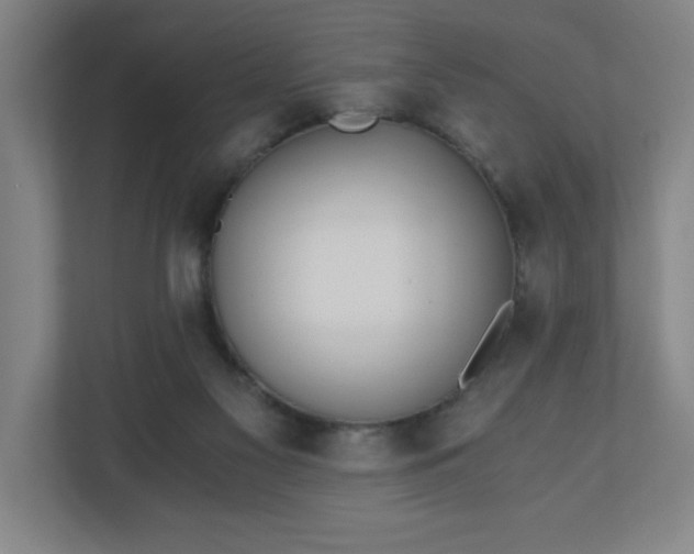 X0000110870117200906251236