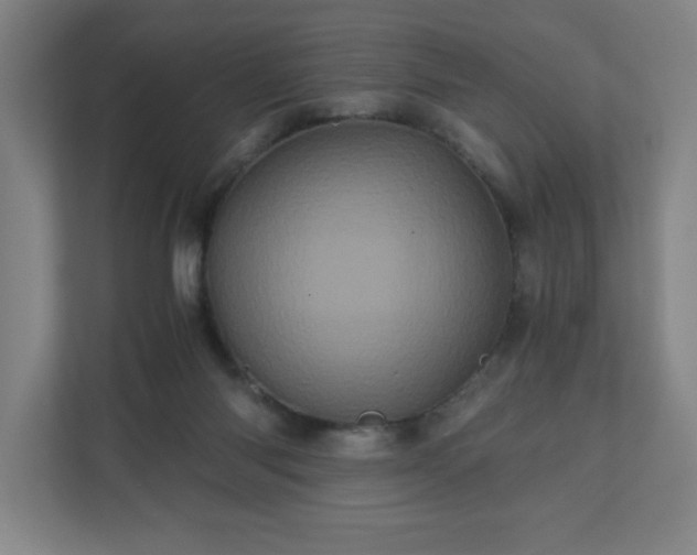 X0000110870118200906251236