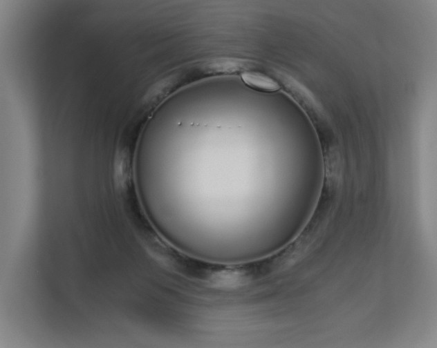 X0000110870119200906251236