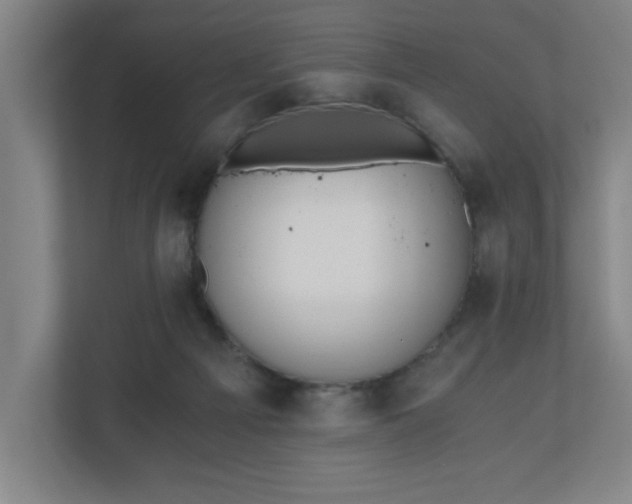 X0000110870121200906251236