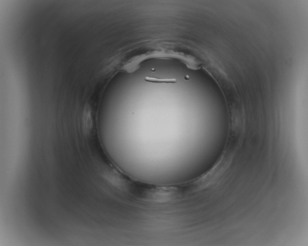 X0000110870128200906251236