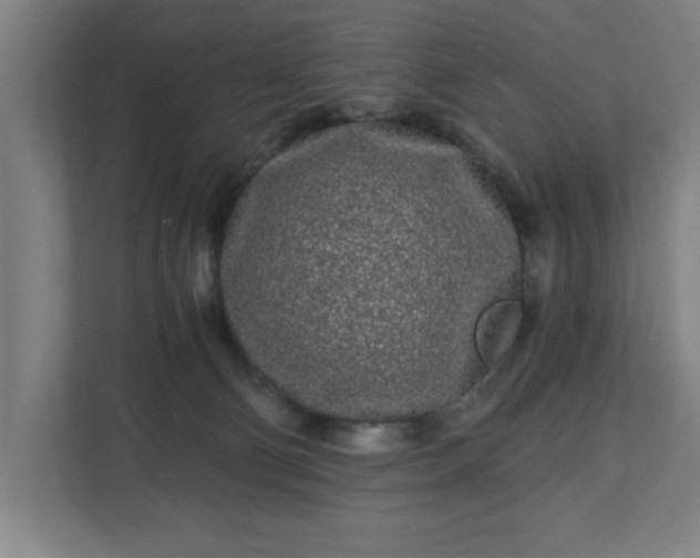 X0000110870130200906251236