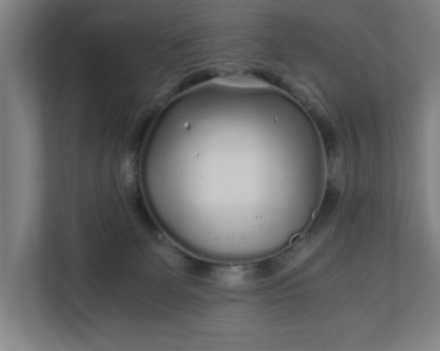 X0000110870131200906251236