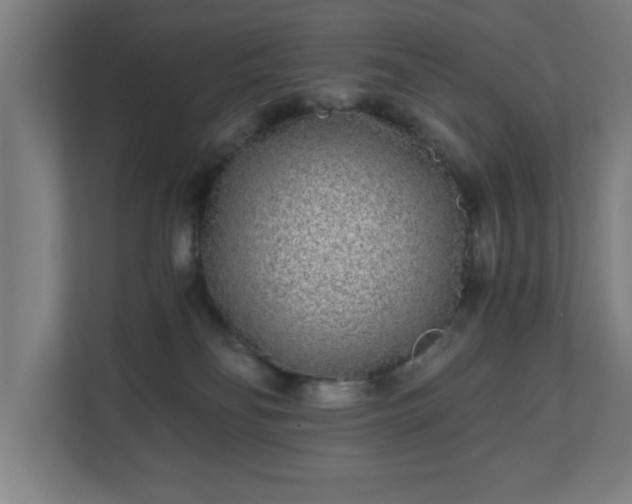 X0000110870134200906251236