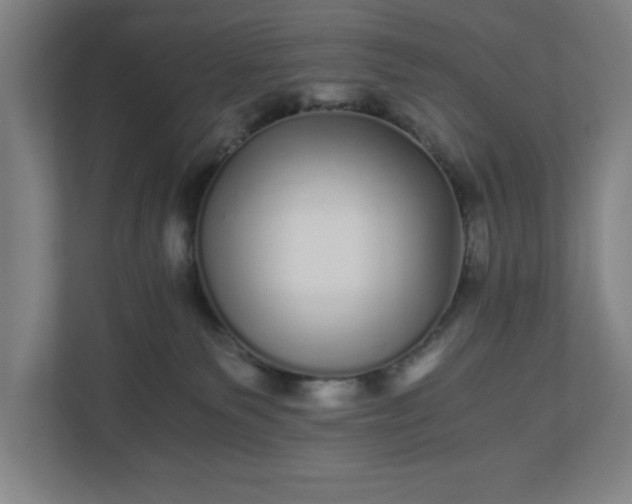 X0000110870135200906251236