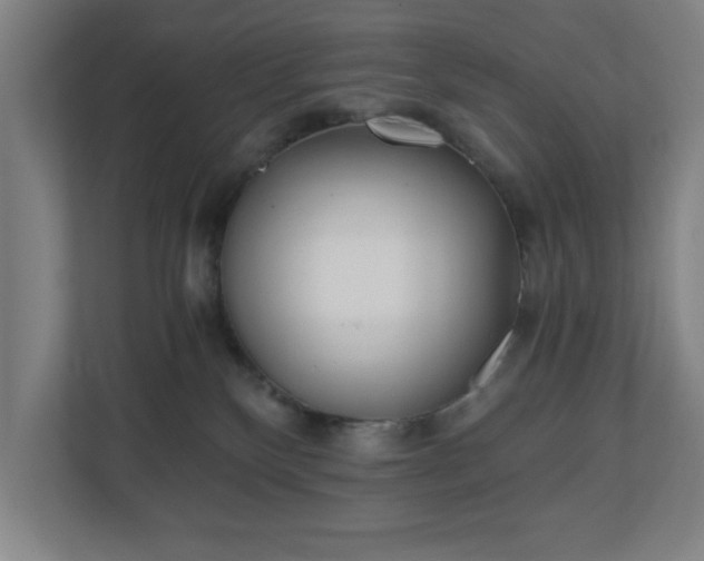 X0000110870136200906251236