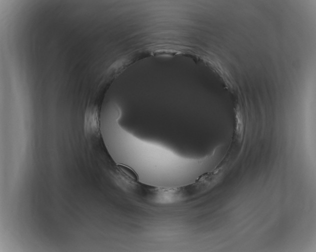 X0000110870143200906251236