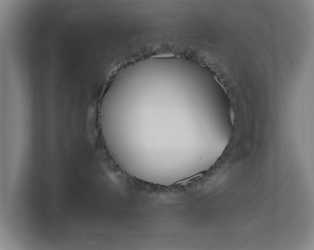 X0000110870144200906251236