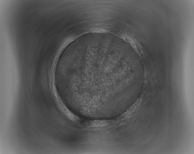 X0000110870145200906251235