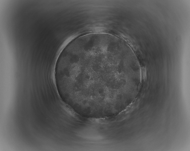 X0000110870147200906251235