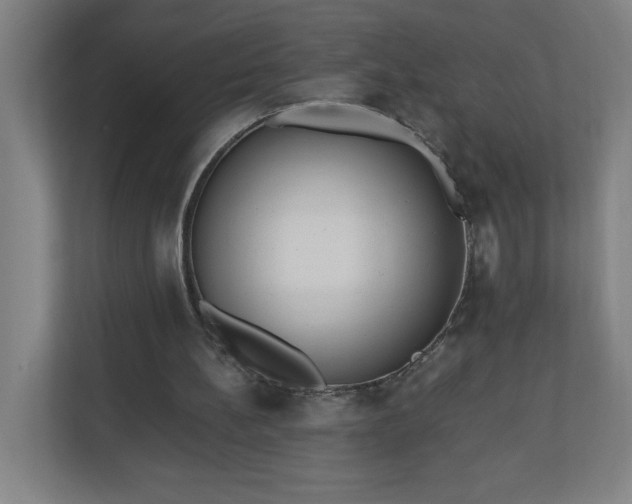 X0000110870148200906251235