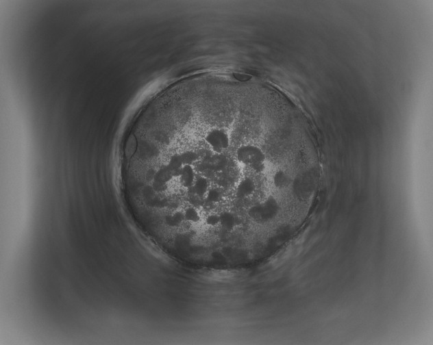 X0000110870149200906251235