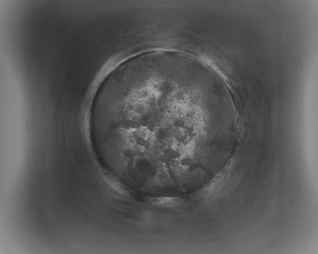 X0000110870151200906251235