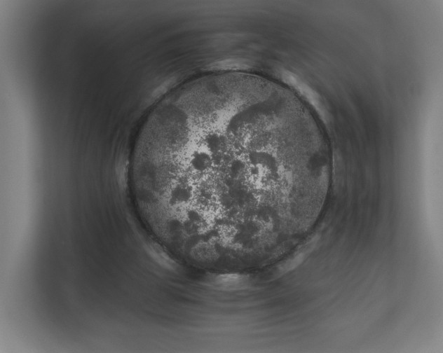 X0000110870153200906251235